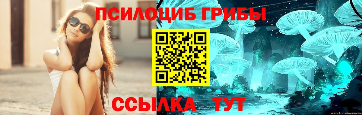 Галлюциногенные грибы GOLDEN TEACHER  Вход с VPN  хочу наркоту  Нефтеюганск 
